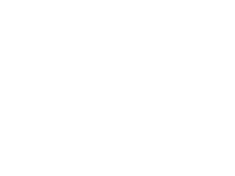 Georgetown Crest Watermark